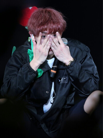 情人节的花仙子