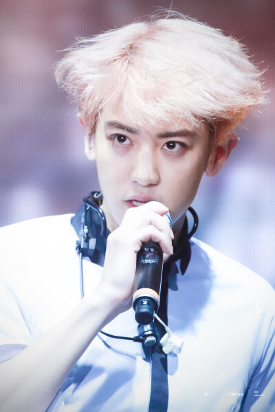 全世界美好的风景里我最喜欢你