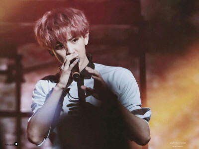 由你学会了好多情话