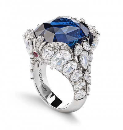 Story of a Seahorse 蓝宝石戒指，by Gübelin
主石为一颗23.23克拉的斯里兰卡蓝宝石，采用枕形切割，周围镶嵌32颗梨形切割和174明亮式切割钻石，总重8.58ct。
