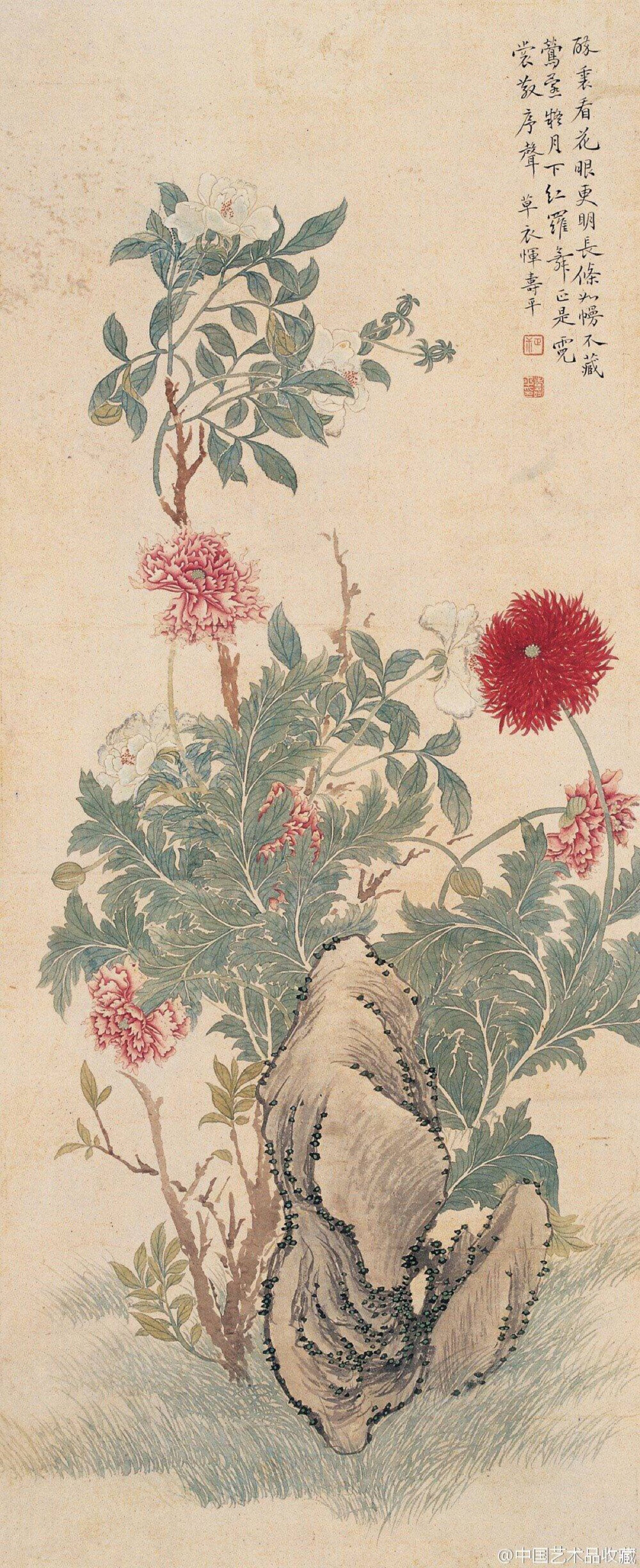 #常州画派#【 清 恽寿平 《花卉图》 】画用新没骨法，对所绘对象有极细微的体察，巧妙运用水、粉等技法，不用墨线钩勒，而直接着色点染而成。点色的用笔很洒脱、飘逸。将盛开的花朵之姿表现的非常真切和微妙。色彩艳而不俗，色调的表情是清丽和冷艳，在秀雅之中含有一种凛然难犯的韵味。