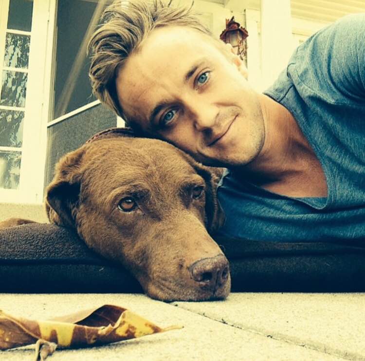 汤姆费尔顿，只是汤姆费尔顿就够了。