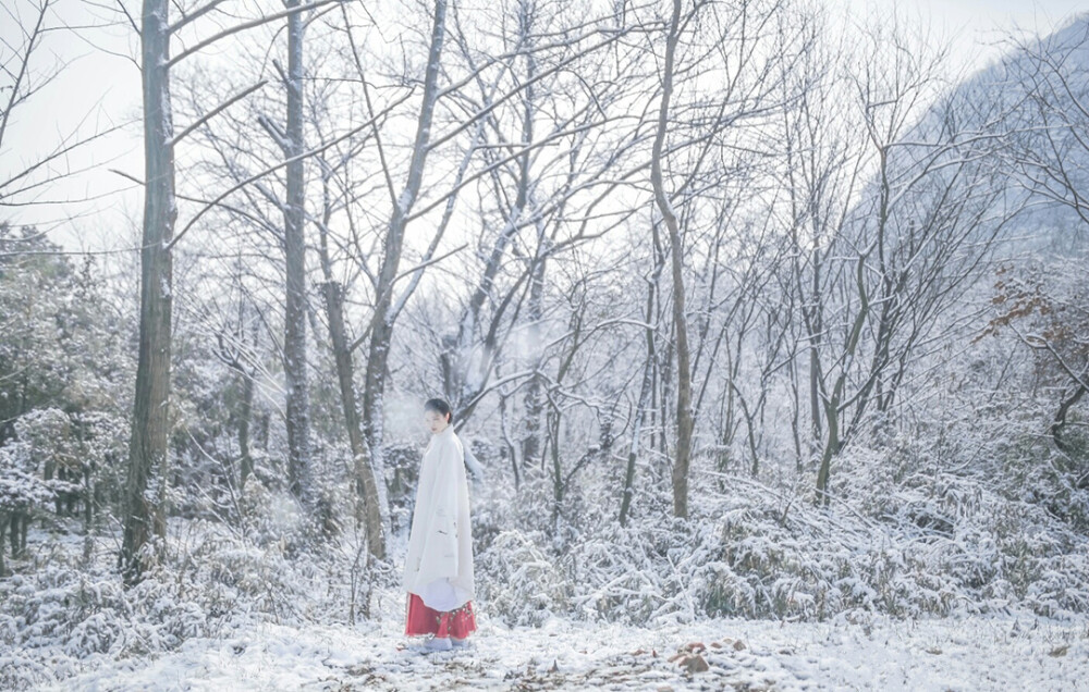 残叶枯，粹雪融，玉树环银镯，歌舞诧冷风，香兰草，冷雪泪，蓝转婀娜，月照萧头。离人易思人难。只把千古惆怅，化作白雪纷飞下。恶漫挫道，白芒过，何处飞雪，何处生愁。