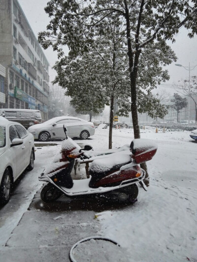 瑞雪兆丰年 我的老家