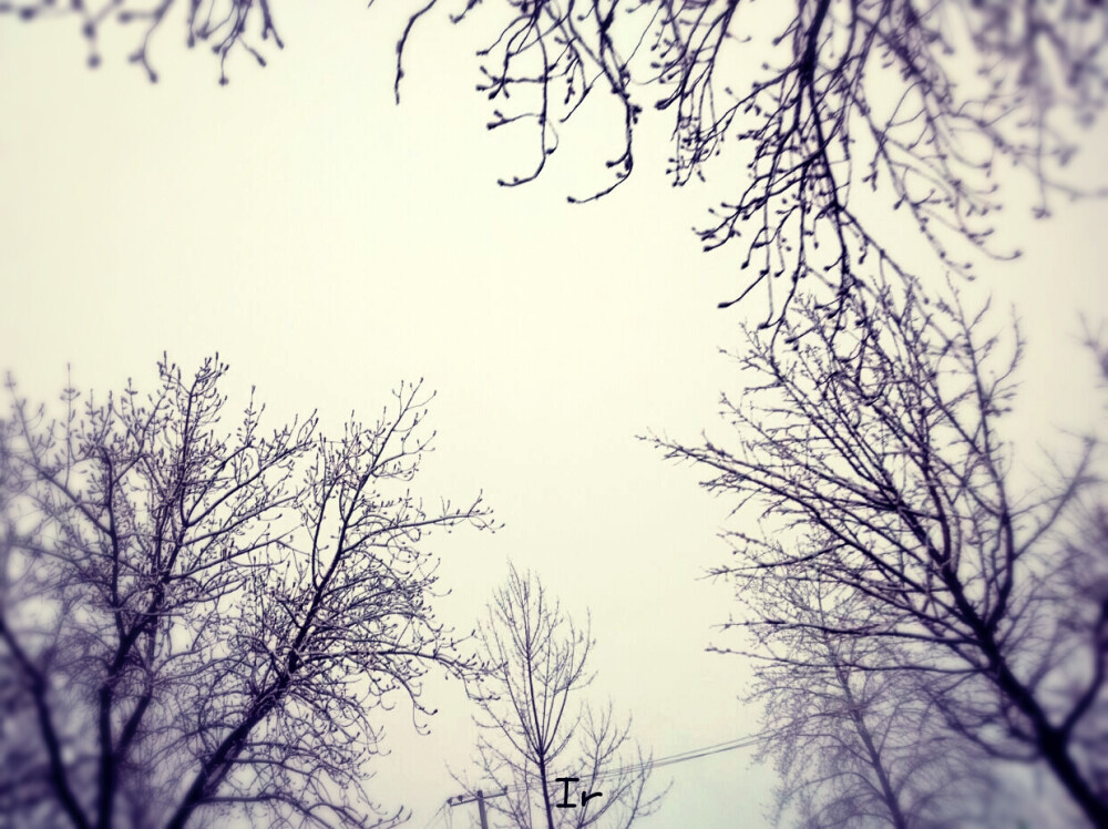 雪