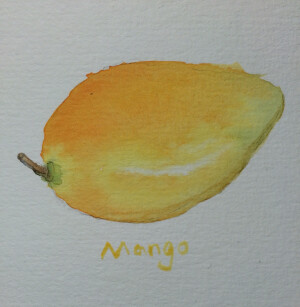 芒果 水彩 水果
