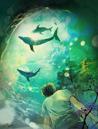 二次元 美图 收集记