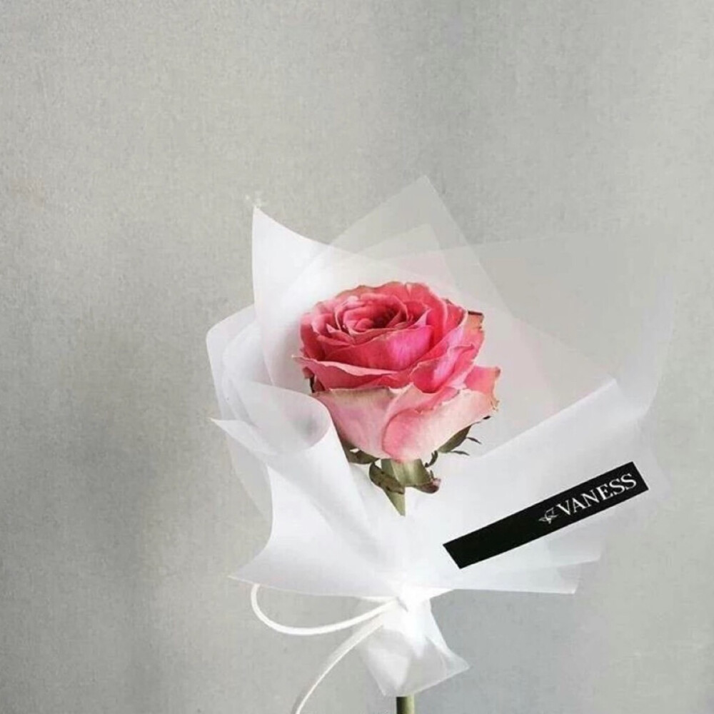 我一直说我们的开始，是第一眼看到她，她在车上，那一眼让我追了很久、很久。也许是用了我这一生的运气，我们成了同学，成了同桌，成了朋友，成了...