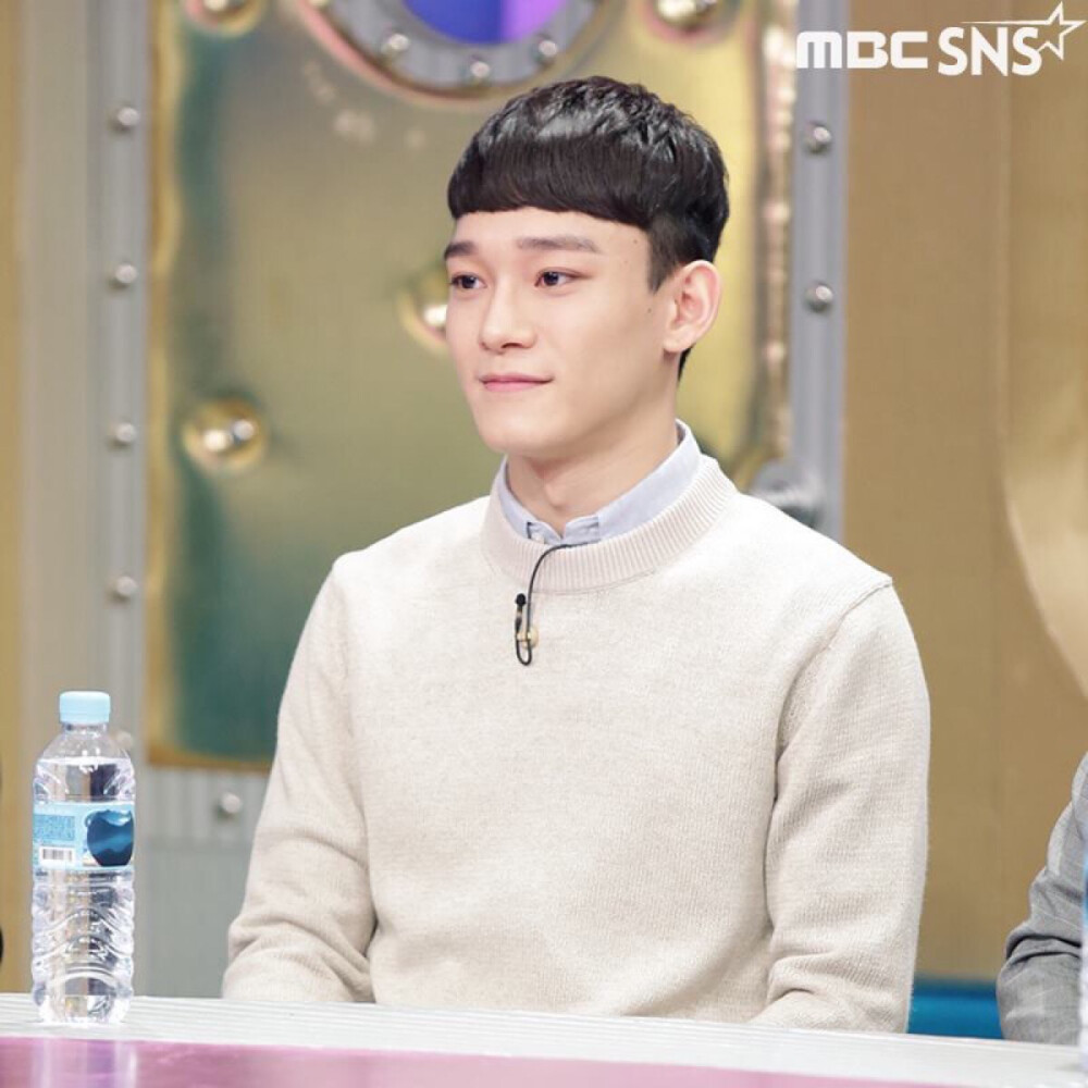 EXO 엑소 CHEN 첸 김종대 金钟大 Kim Jong Dae