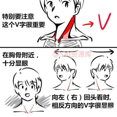 绘画 漫画 素材 脊柱 脖子的画法