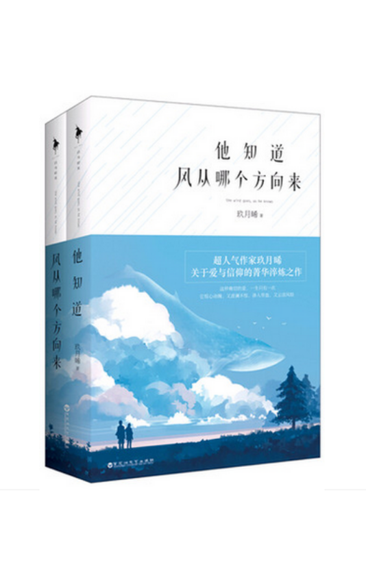 他知道风从哪个方向来。还记得熬着夜一口气看完了，被主人公鲜明的人格魅力折服。