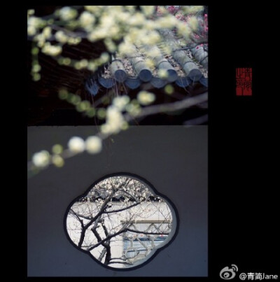 一枝疏影，倚在江南最早的那件春衫上，横斜成了旧池塘里的一幅画。一段暗香，写在诗人最后的那封信笺里，浮动为上弦月下的一曲笛。而你悄然苏醒，把回忆开成一朵花的模样。——丙申早春，于南京梅岗