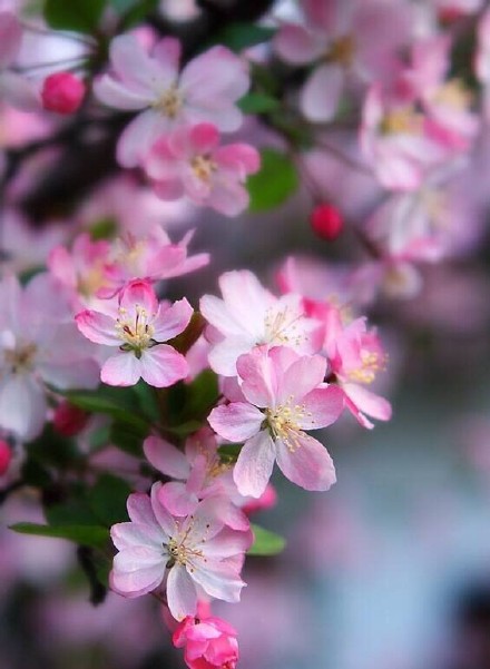 谁知白云外，别有绿萝春。苔绕溪边径，花深洞里人。