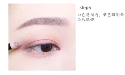 step5 紫色眼影晕染后眼部 <br />