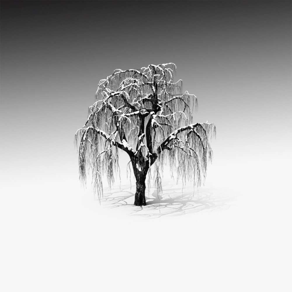 Vassilis Tangoulis 极简黑白风光