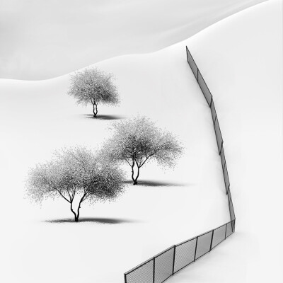 Vassilis Tangoulis 极简黑白风光