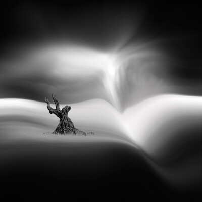 Vassilis Tangoulis 极简黑白风光