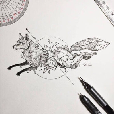 几何图形和动物手绘结合的创意插画