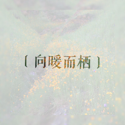 向远而生，向暖而栖，情侣头像，LiaoJing卡諾原创，