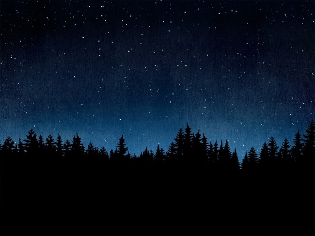 박지영(ji young park)