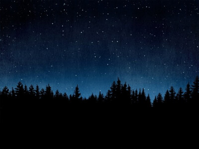 박지영(ji young park)