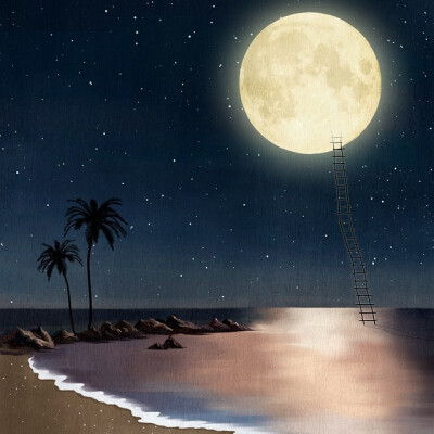 박지영(ji young park)