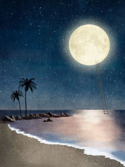 박지영(ji young park)