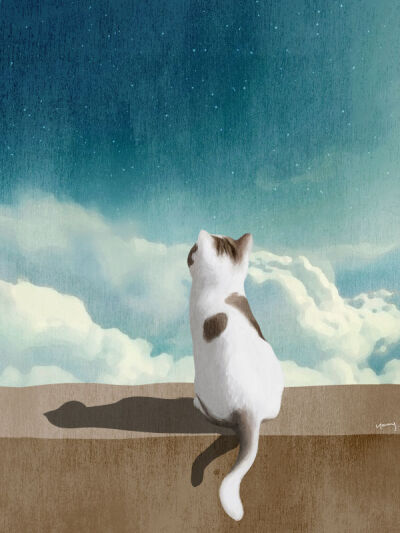 박지영(ji young park)