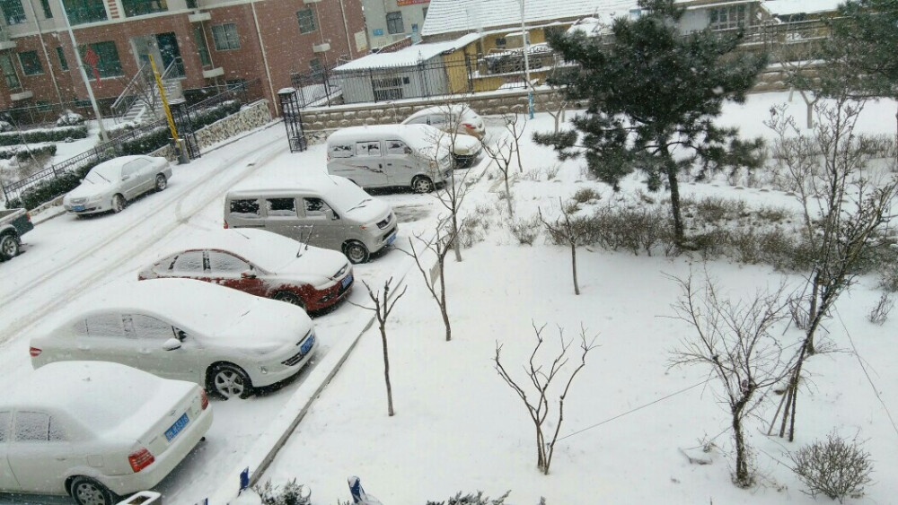 静谧雪景