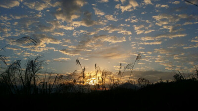 很不错，我手机拍的