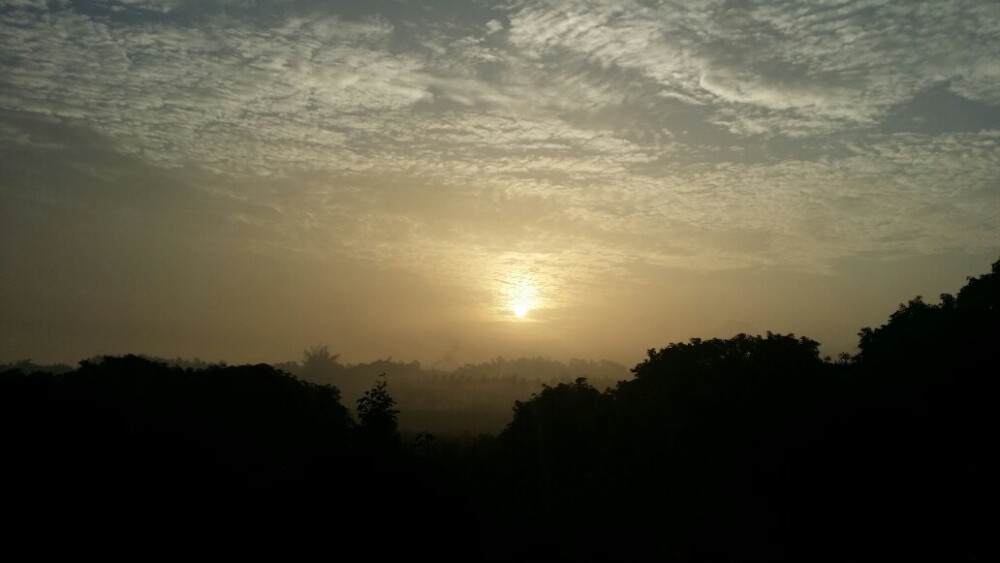 我手机拍的自认为感觉很不错