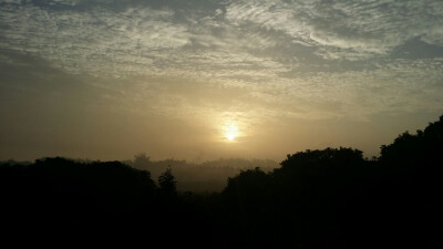 我手机拍的自认为感觉很不错