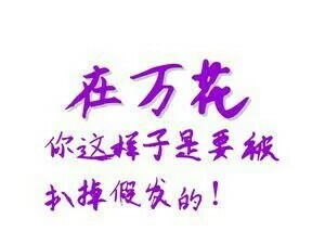 剑三全门派文字。。。