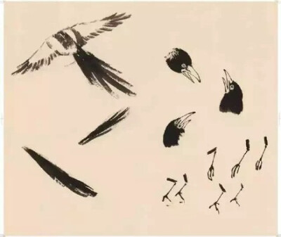 【大师教你画国画！徐悲鸿花鸟课徒稿。】徐悲鸿将西方绘画元素带入中国传统绘画，注重光影、造型，强调描绘对象的解剖结构、骨骼的准确把握。对中国绘画的发展产生了巨大的影响。下面就让徐悲鸿先生一笔一画，再现技…