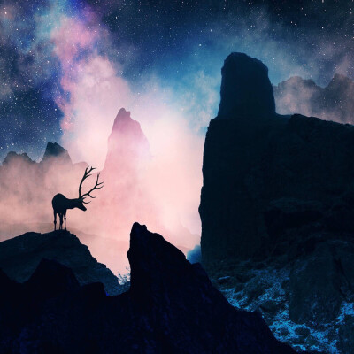 来自罗马尼亚的摄影师 Caras Ionut