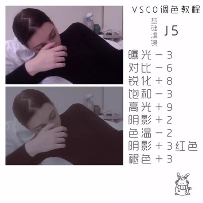 收集来的vsco教程