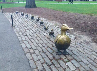 2016.1 - Boston. Boston Common 