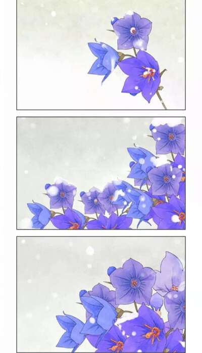 花海