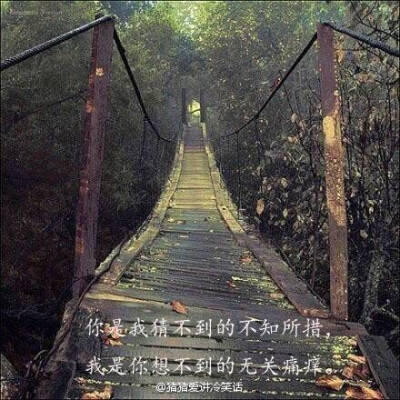 不知所措