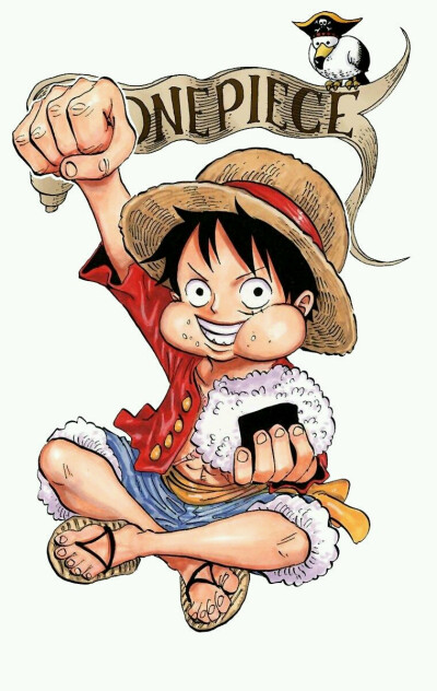 蒙奇·D·路飞 Monkey·D·Luffy，《海贼王》ONE PIECE