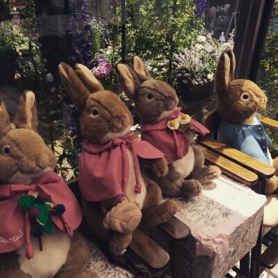 日本Peter rabbit Cafe兔子主题咖啡