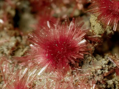 钴华（Erythrite），晶体颜色非常深，但是长成毛球就会粉粉的很可爱。