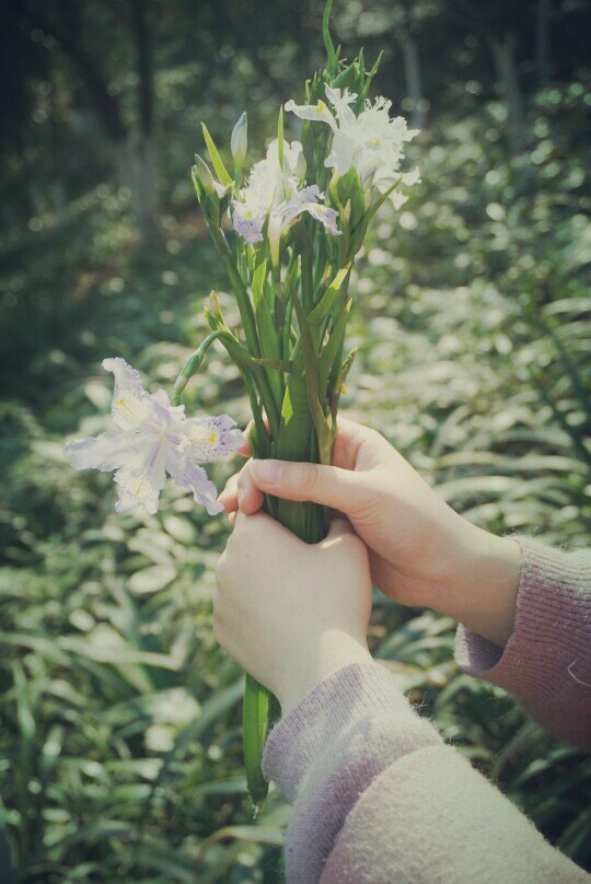 小清新和花的邂逅