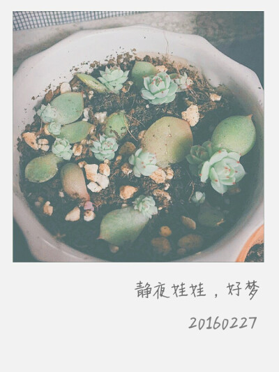 多谢室友千里传图，miss U