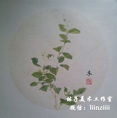 国画，工笔，茉莉花