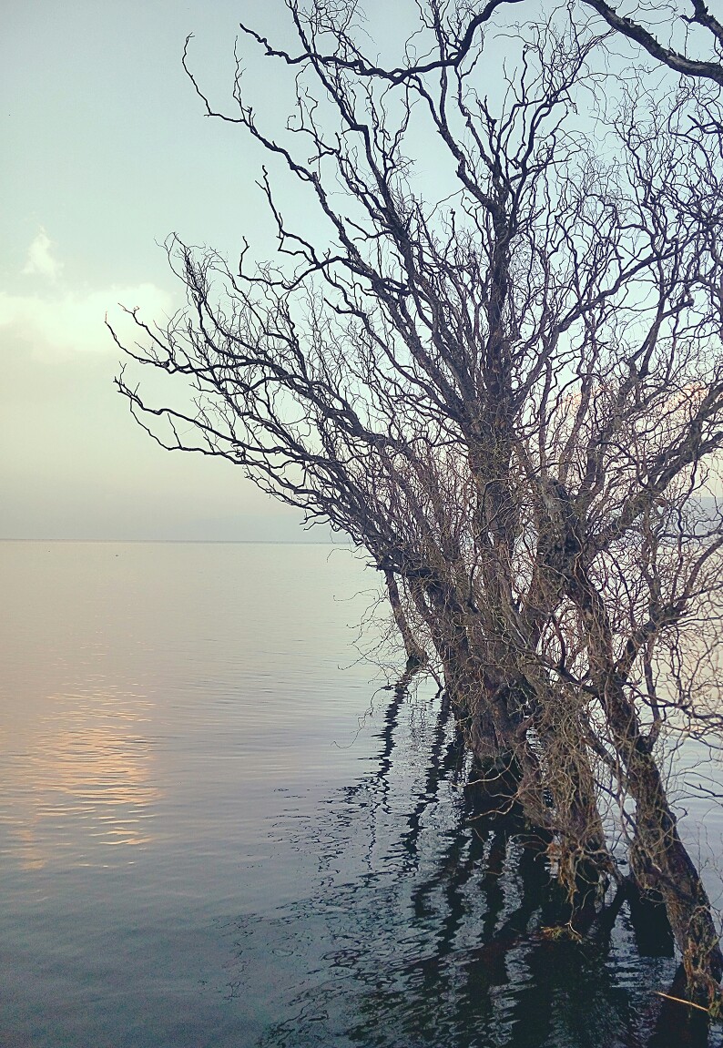 洱海的傍晚