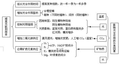 光合作用