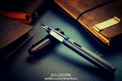 LAMY 凌美 钢笔 （网图侵删）