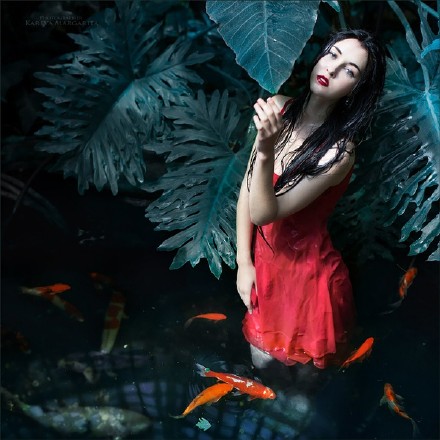 喜欢的摄影作品