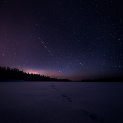 Mikko Lagerstedt